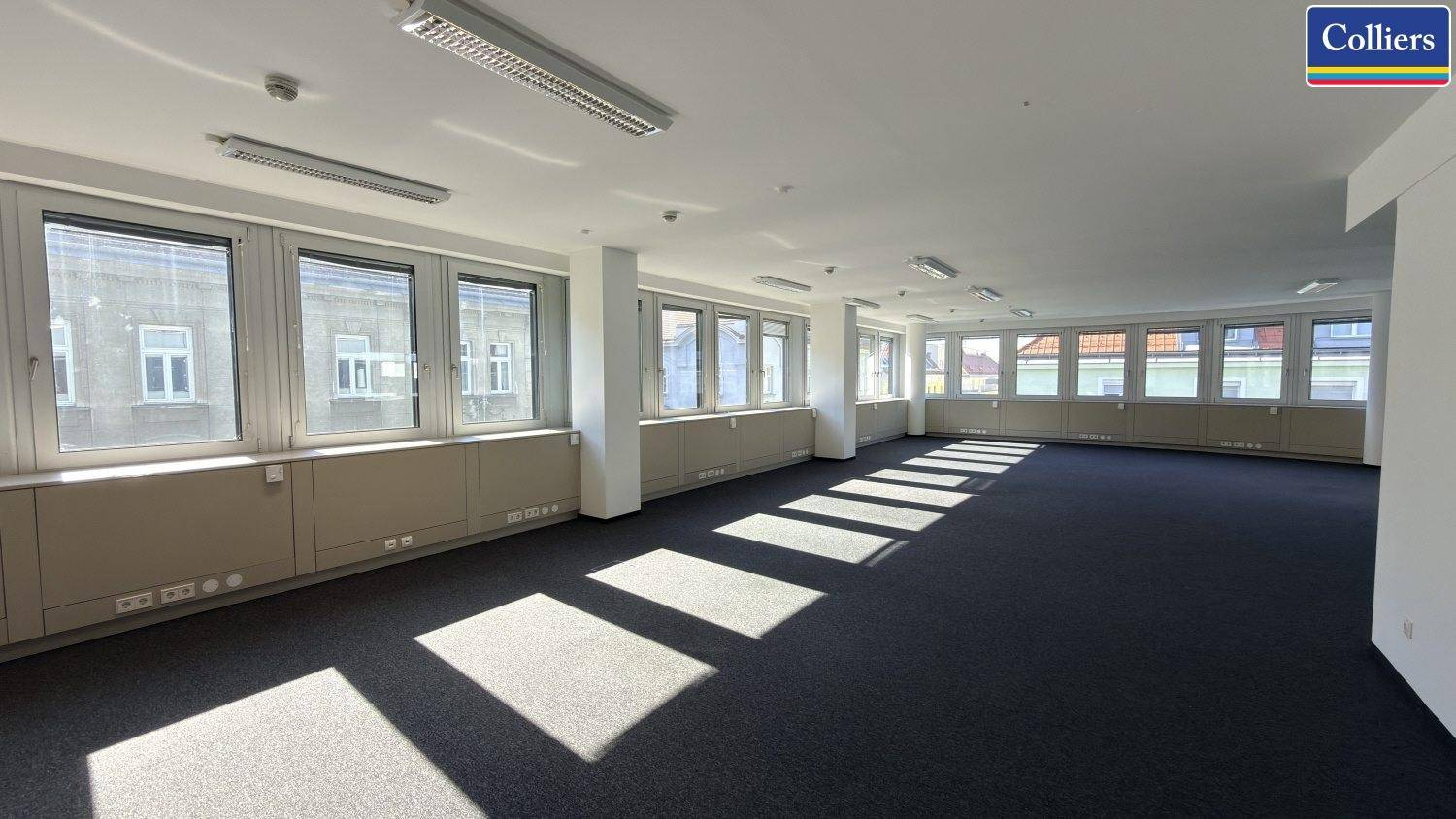 Helles, offenes Büro mit Teppichboden und einer langen Fensterfront, die viel Sonnenlicht hereinlässt.