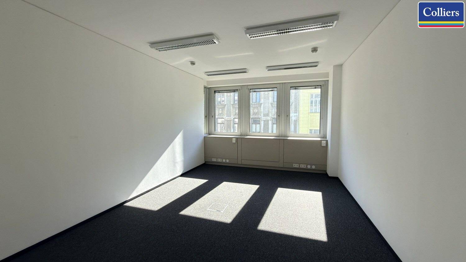 Geräumiges Einzelbüro mit Teppichboden und Fenstern, die viel Tageslicht in den Raum lassen.