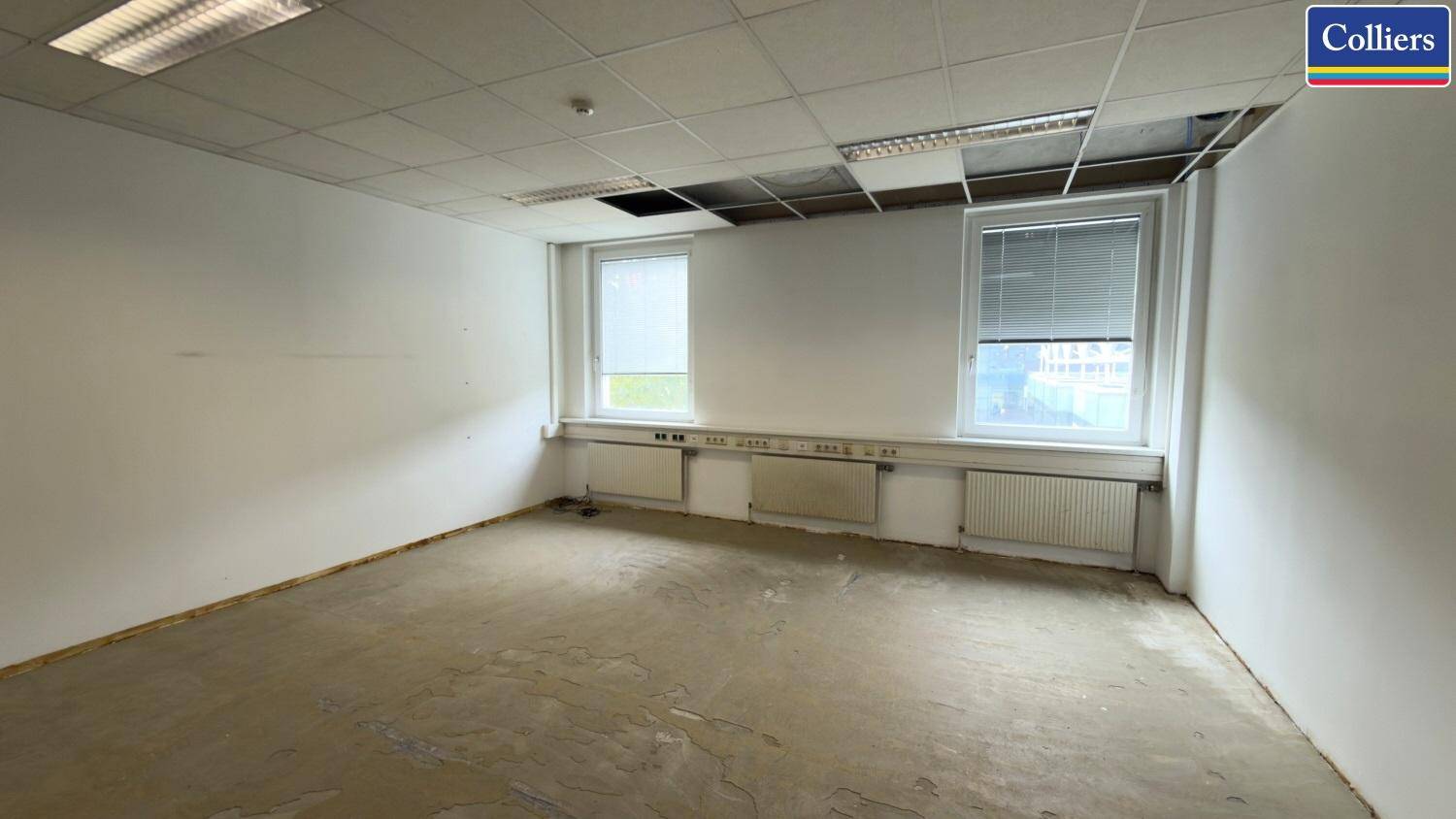 Renovierungsbedürftiger Büroraum mit abgehängter Decke, zwei Fenstern und sichtbarem Unterboden.
