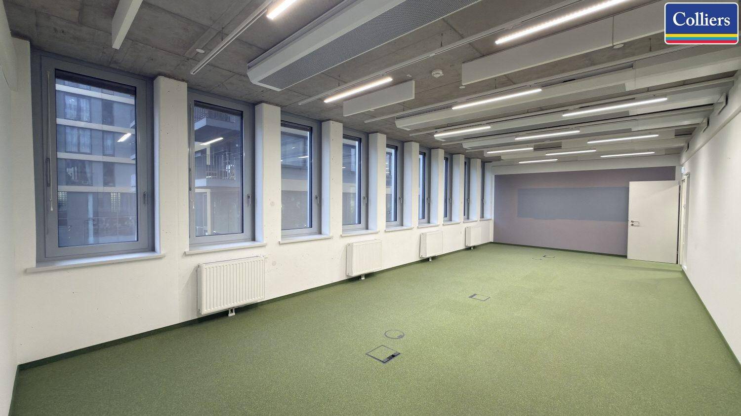 Großes Büro mit grünem Teppichboden, vielen Fenstern und moderner Deckenbeleuchtung.