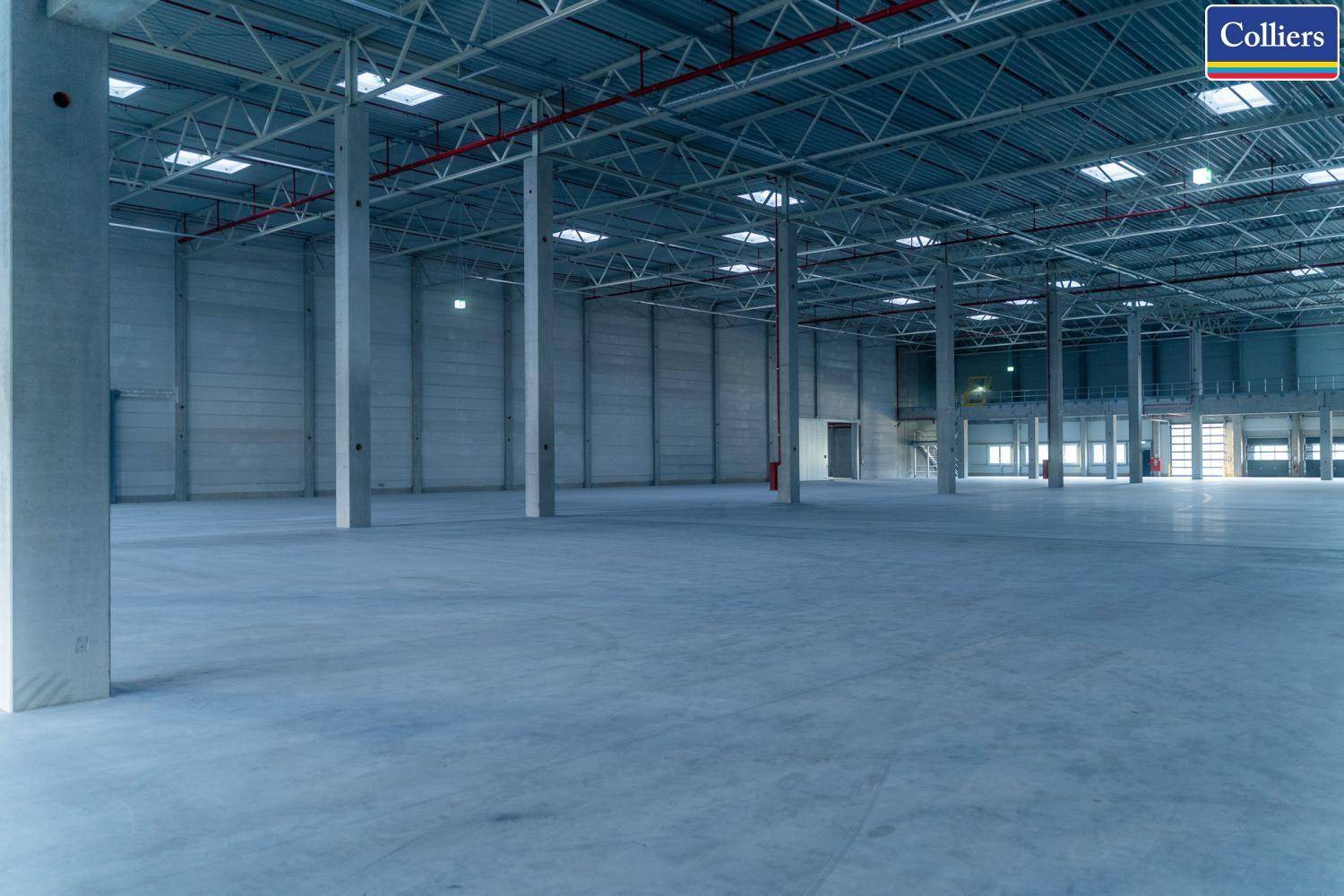 Geräumige, leere Lagerhalle mit hohen Decken, Betonboden und tragenden Säulen.