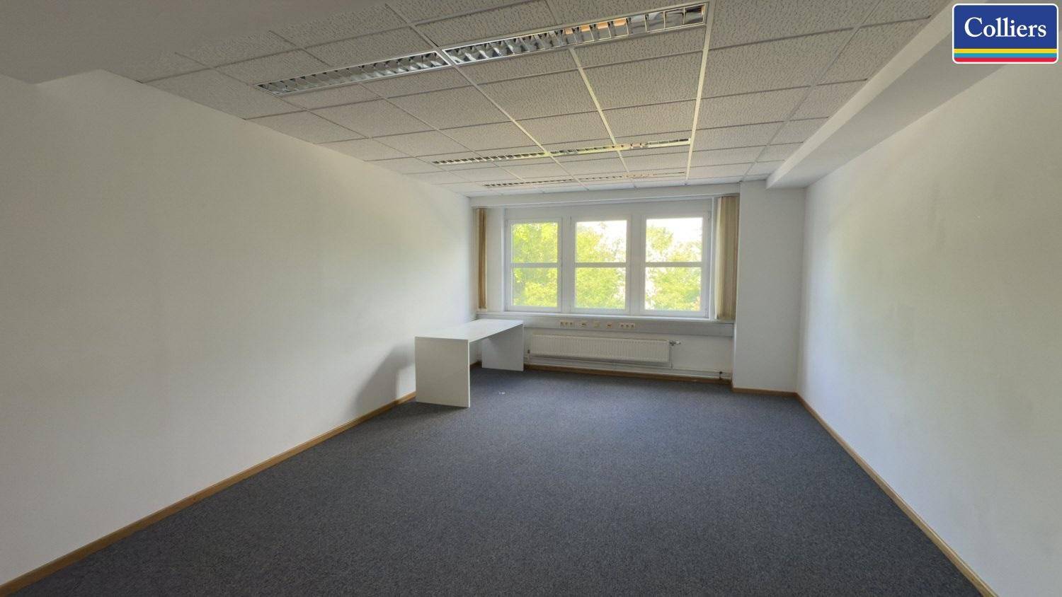 Modernes Büro mit grauem Teppichboden, weißen Wänden und einem großen Fenster, das für Helligkeit sorgt.