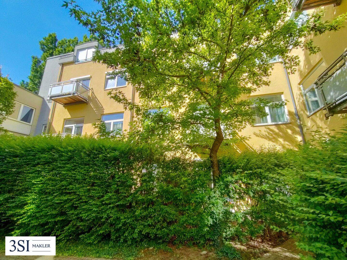 Außenansicht eines gelben Wohngebäudes, teilweise von einem großen Baum und einer Hecke verdeckt.
