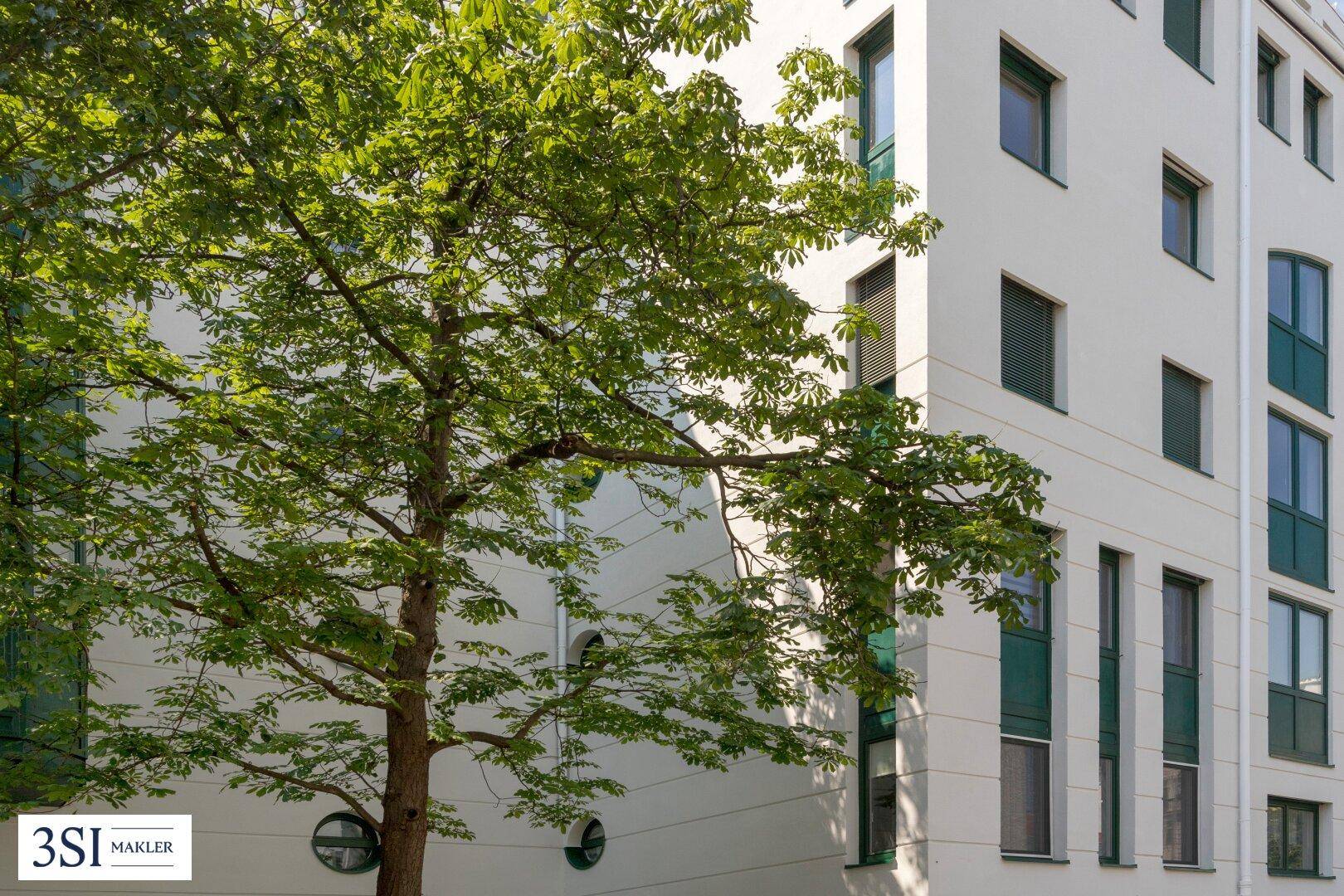 Detailansicht der Gebäudefassade mit runden Fenstern und einem großen Baum im Vordergrund.