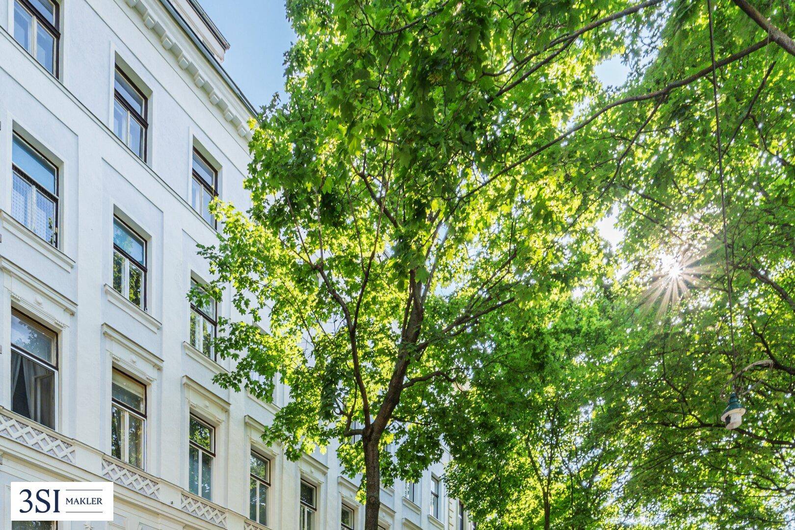 Weiße Gebäudefassade mit grünen Bäumen und Sonnenlicht, das durch die Blätter scheint.