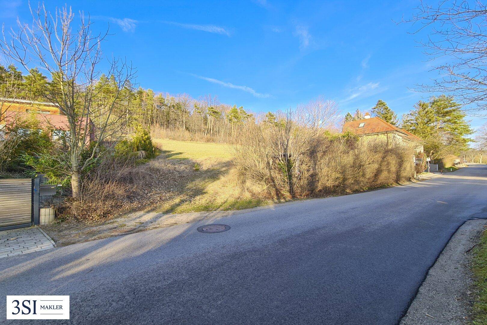 Zufahrtsstraße zum Grundstück mit angrenzender Grünfläche und Häusern im Hintergrund.