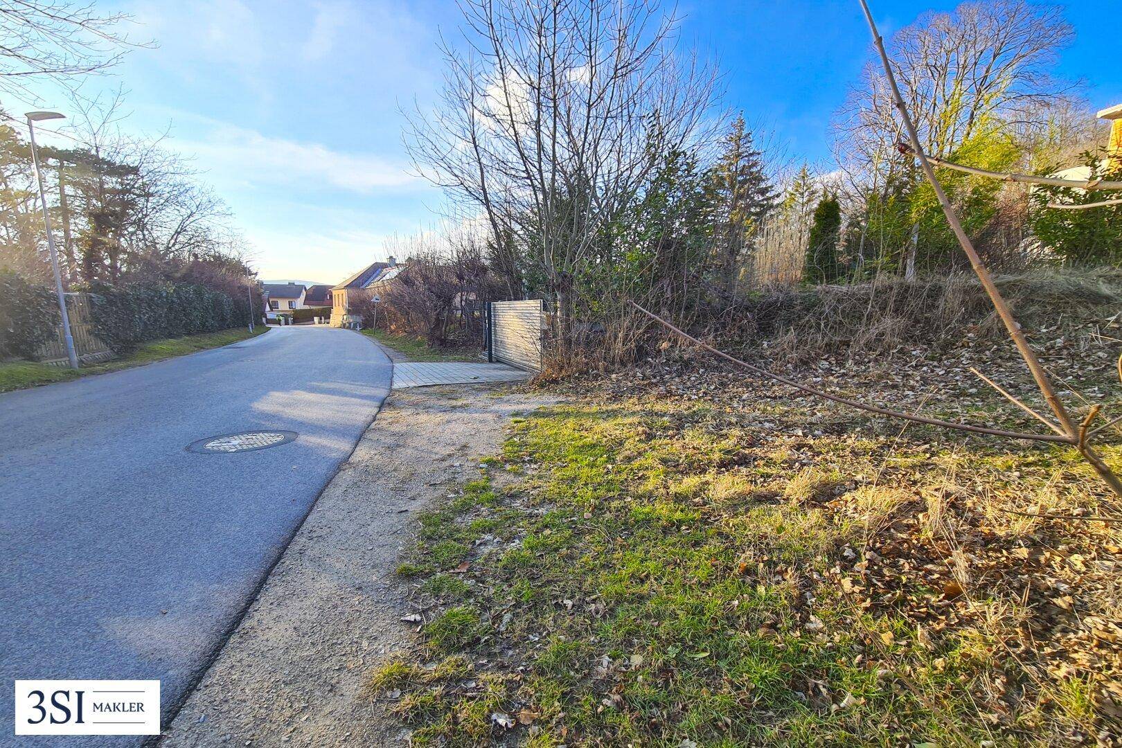 Zufahrt zum Grundstück von der Straße aus mit einem Tor und umgebender Vegetation.