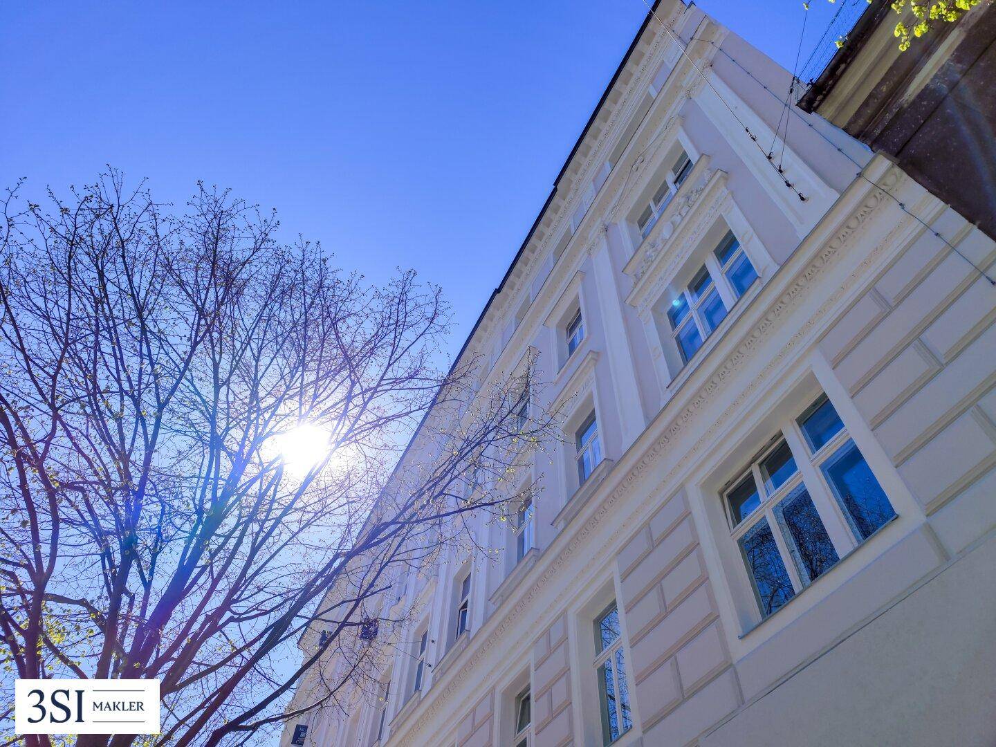 Fassade eines Altbaus mit vielen Fenstern, beleuchtet von der Sonne durch Baumäste.