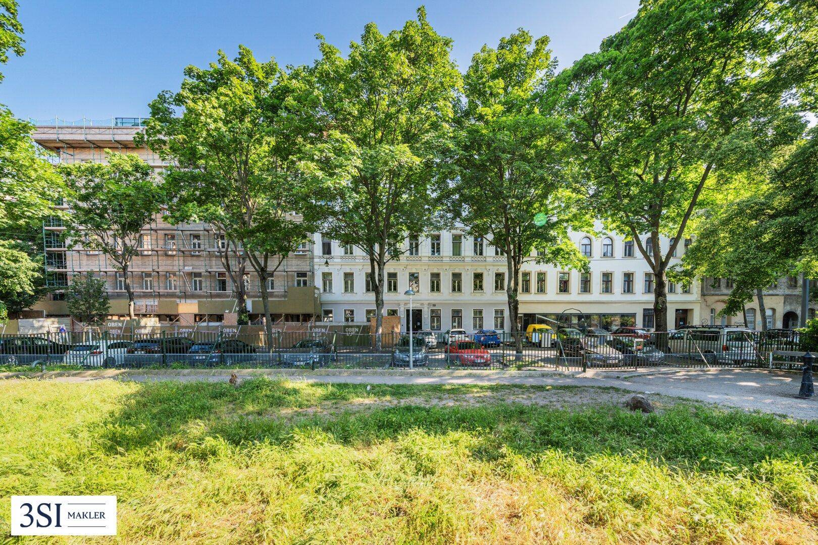 Blick auf eine von Bäumen gesäumte Straße mit historischen Gebäuden und einer Grünfläche im Vordergrund.