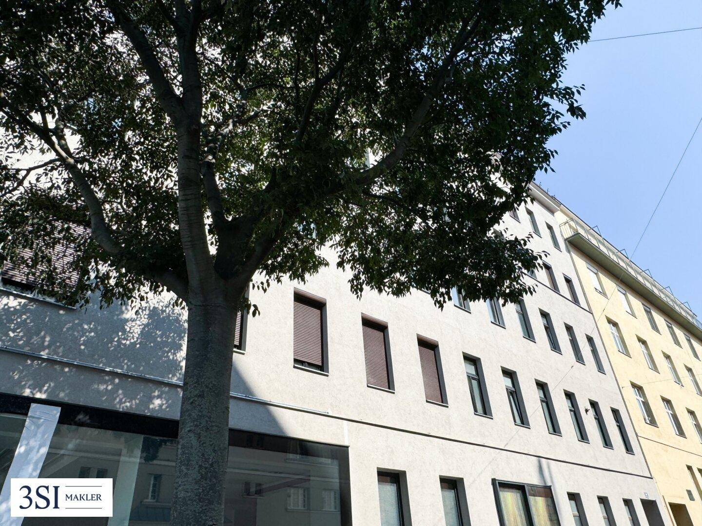 Fassade eines Mehrfamilienhauses mit vielen Fenstern und einem großen Baum im Vordergrund unter blauem Himmel.