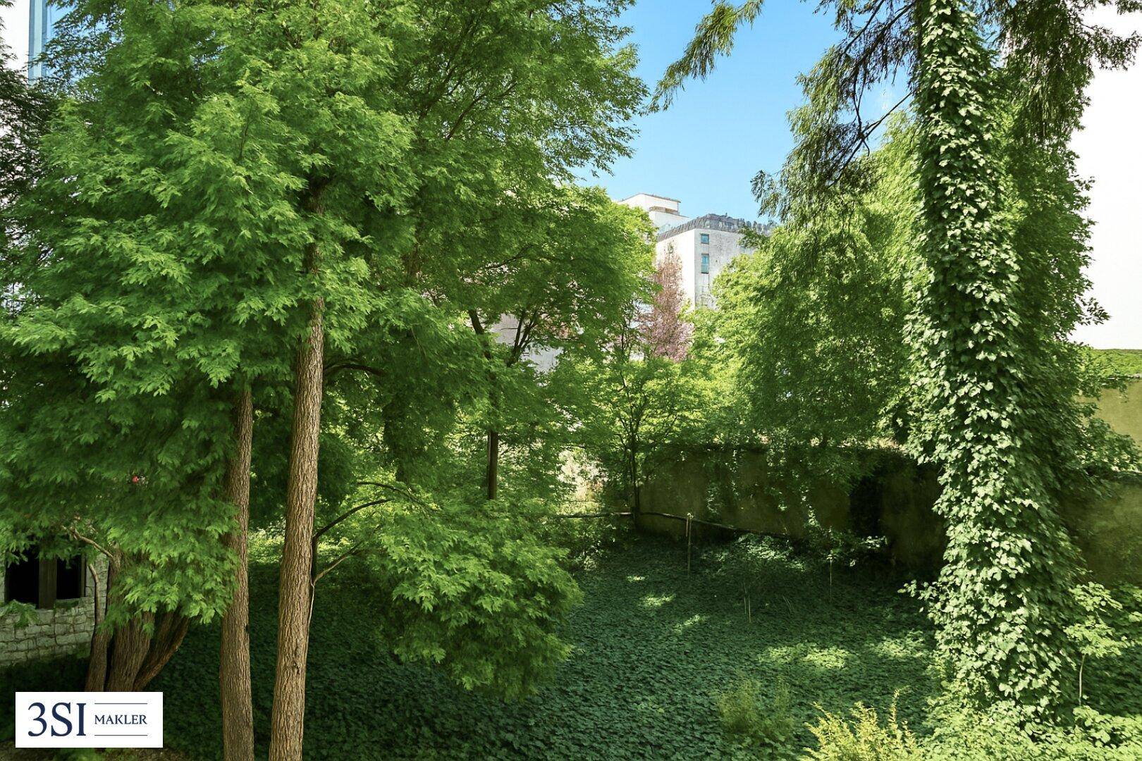 Üppiger grüner Gartenbereich mit hohen Bäumen und dichtem Efeu, der eine ruhige Atmosphäre schafft.