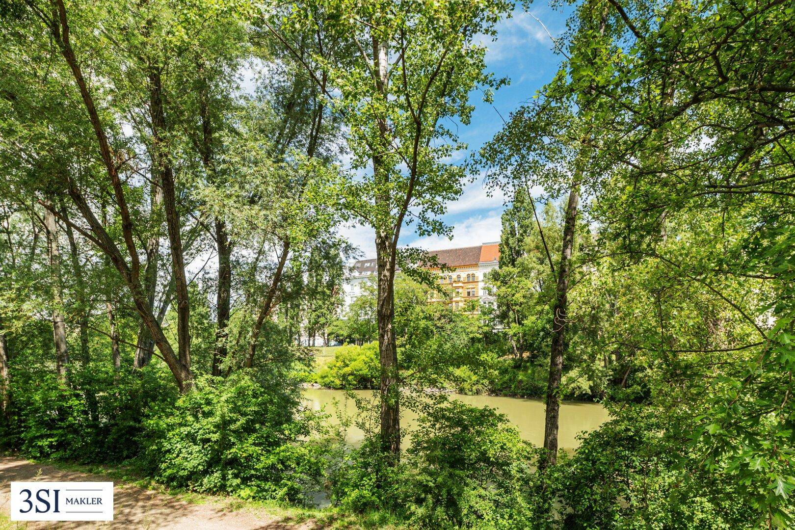 Idyllischer Blick auf einen Fluss umgeben von üppigem Grün und Bäumen.