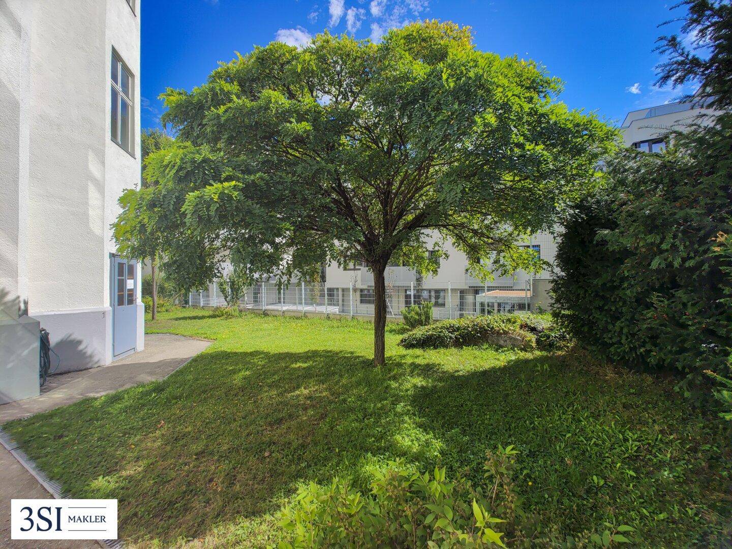 Grüner Gartenbereich mit einem großen Baum und Rasenfläche, umgeben von Gebäuden.