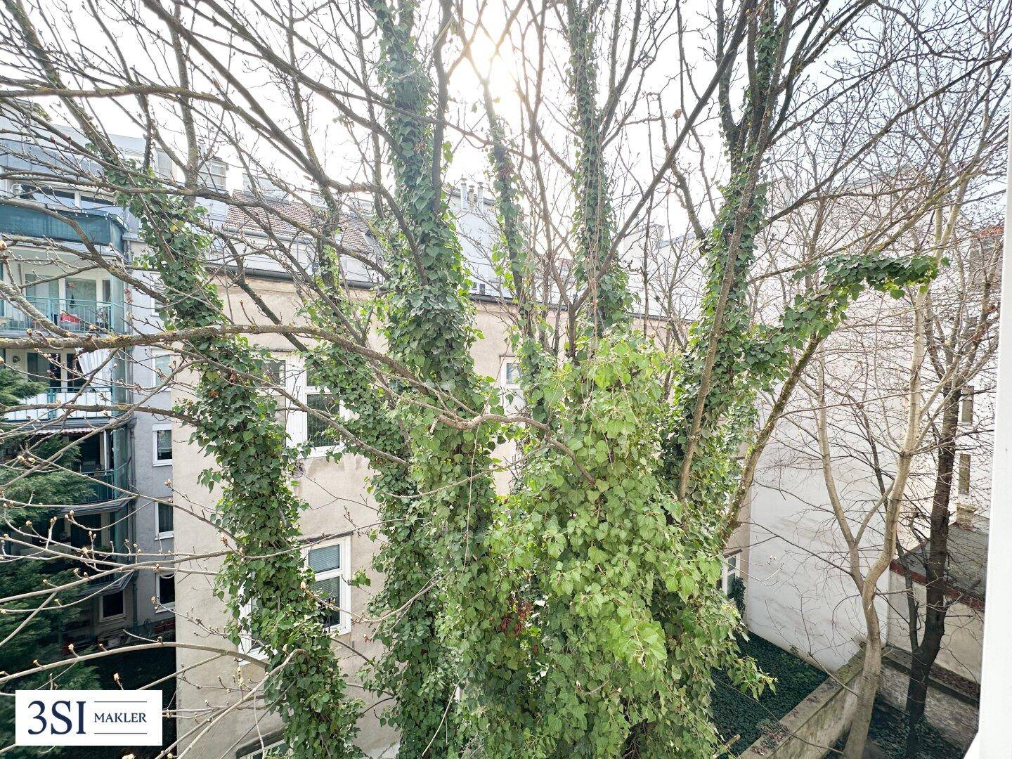 Blick aus dem Fenster auf dicht bewachsene Bäume und umliegende Gebäude.