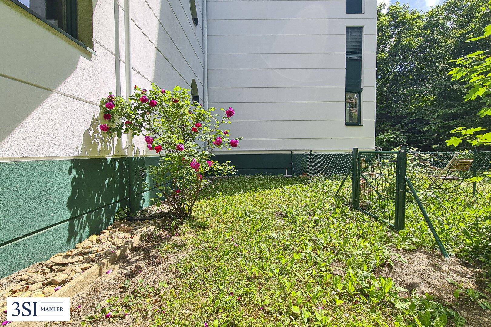 Kleiner Gartenbereich mit Rosenstrauch und grüner Bepflanzung am Gebäudesockel.