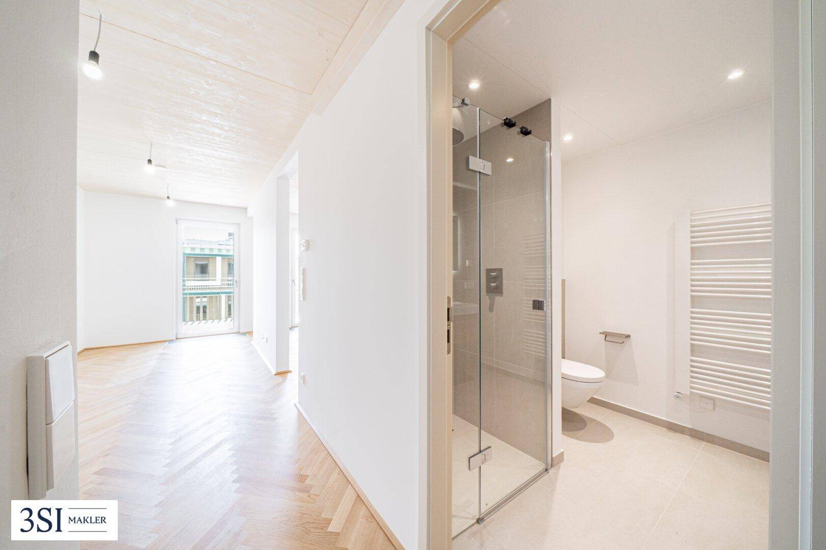 Moderner Badezimmerzugang vom Flur mit begehbarer Dusche und Wand-WC.
