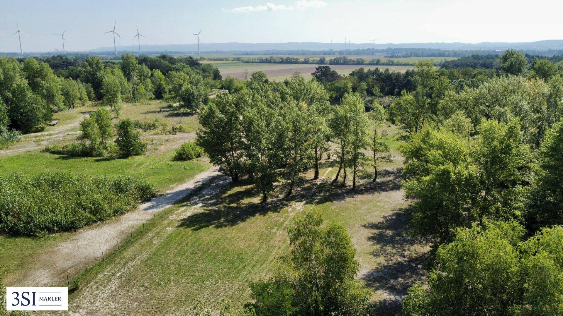 Luftaufnahme einer weitläufigen Grünfläche mit Bäumen und Wegen, umgeben von Feldern und Windrädern.