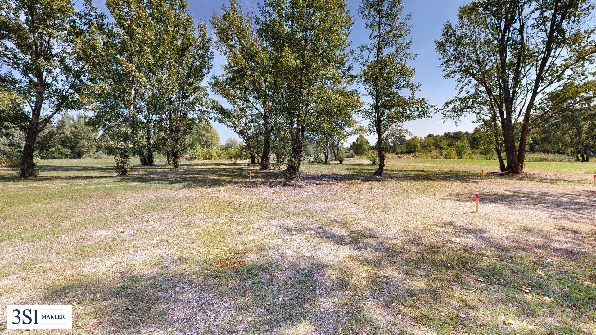 Weitläufige, offene Grünfläche mit vereinzelten Bäumen und trockenem Gras unter blauem Himmel.