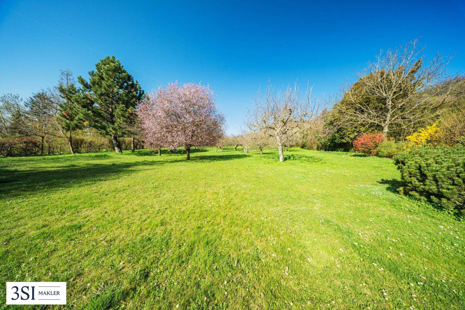 Großer, gepflegter Garten mit Rasenflächen, blühenden Bäumen und Sträuchern unter blauem Himmel.