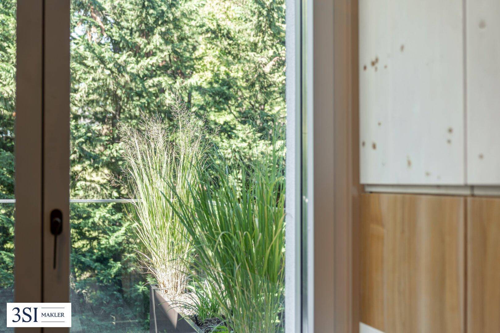 Nahaufnahme von Pflanzen vor einem Fenster mit Blick auf dichte grüne Bäume.