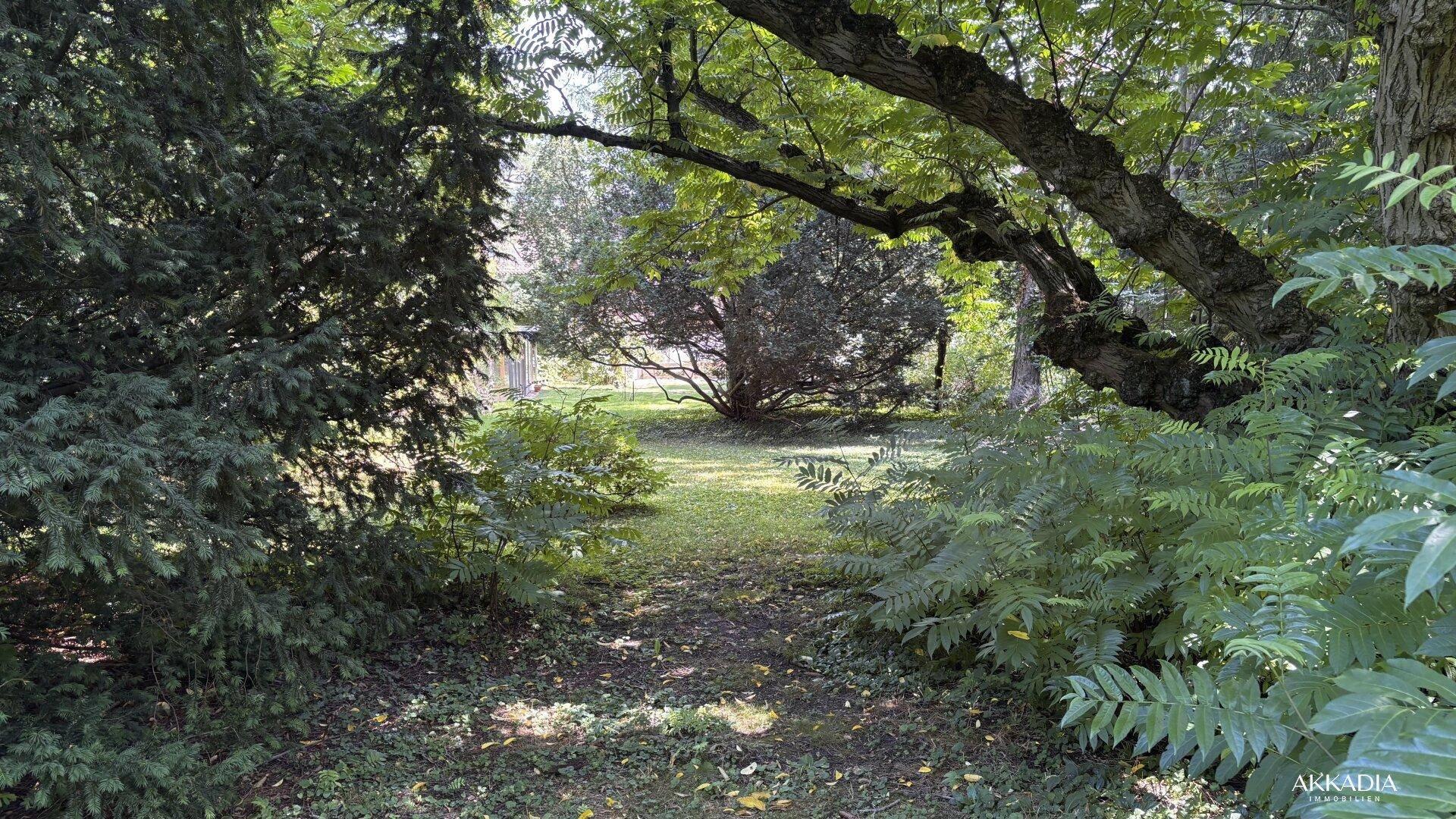 Idyllischer Gartenweg, umgeben von üppigem Grün und alten Bäumen, der zum Spazierengehen einlädt.