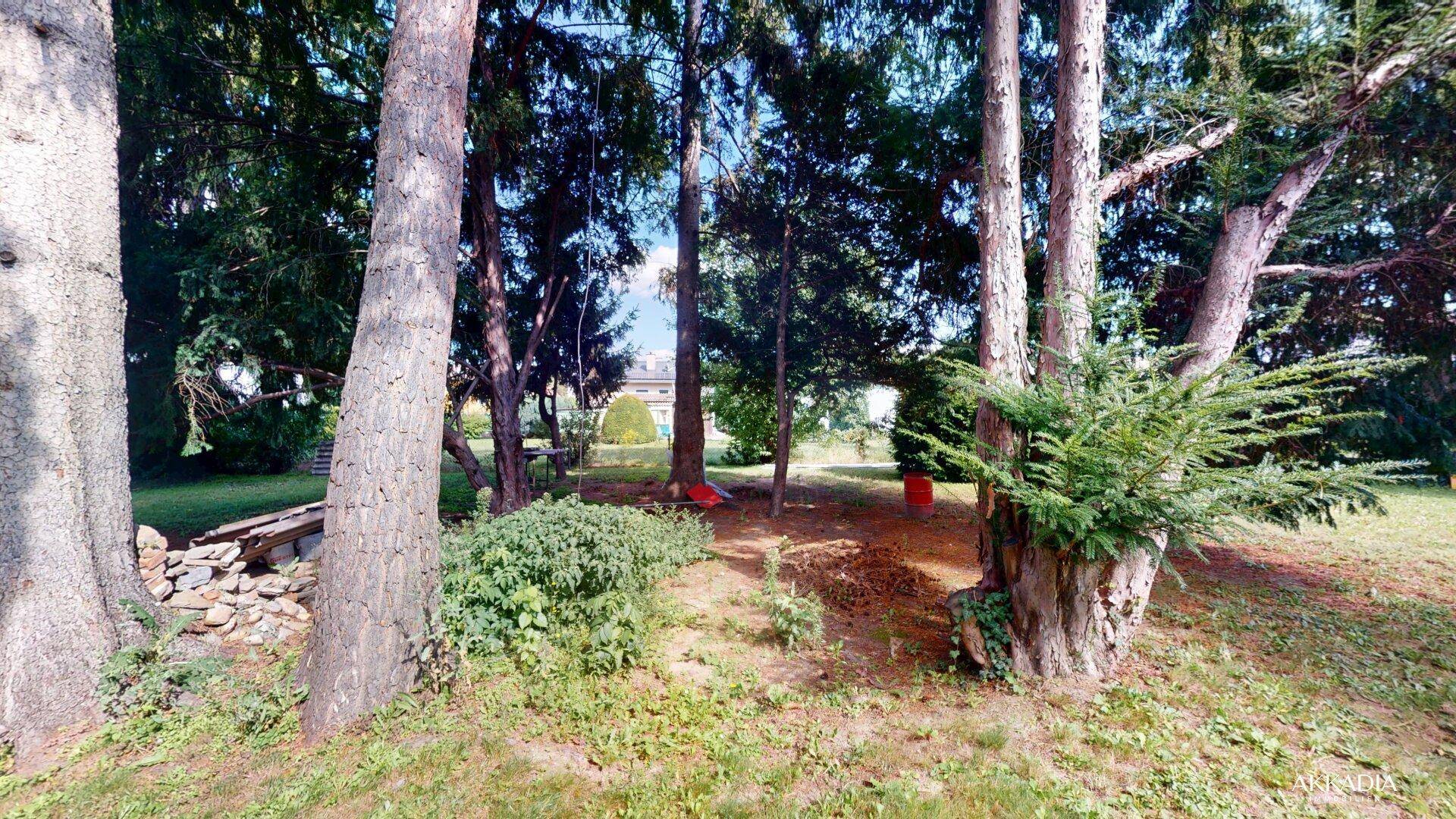 Slide 7