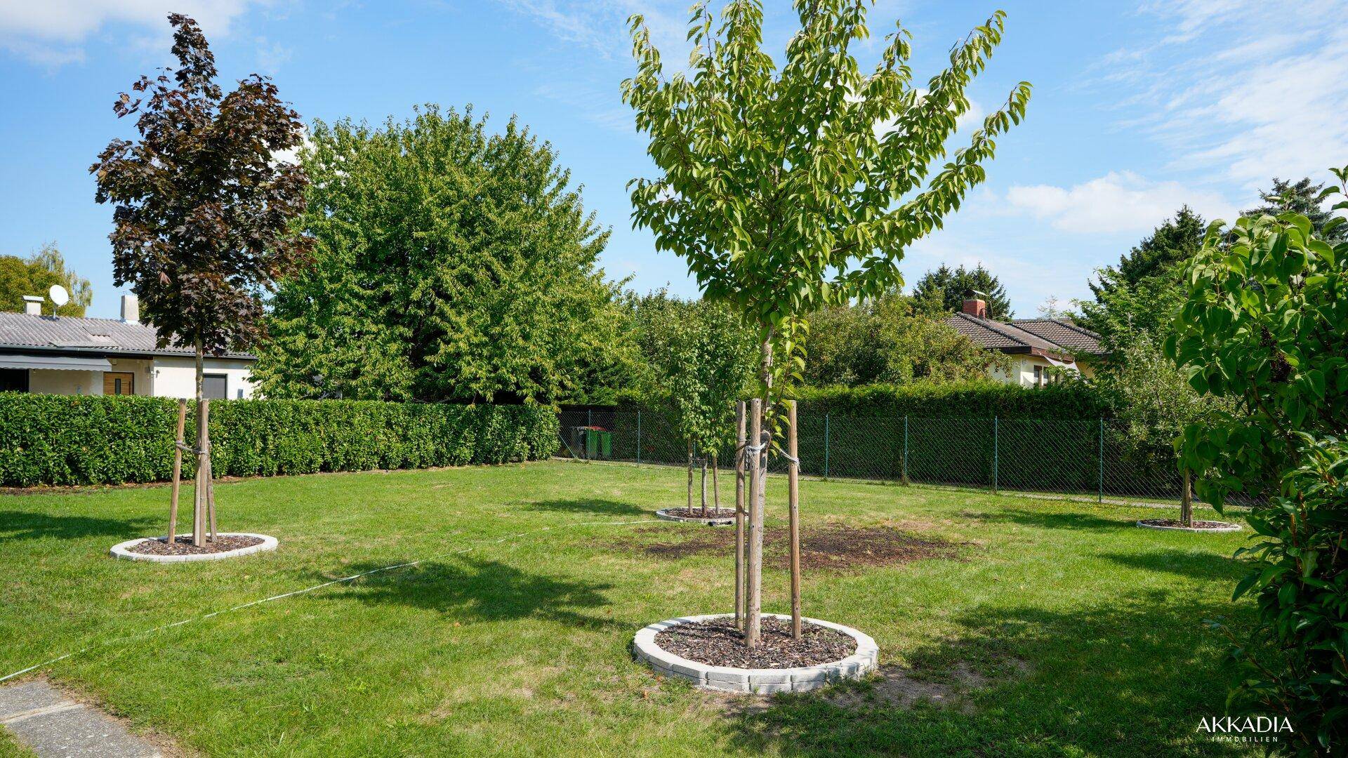 Großer, gepflegter Garten mit jungen Bäumen und einer dichten Hecke im Hintergrund, ideal für Erholung.