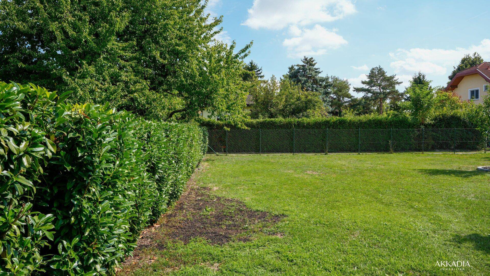 Weitläufiger Gartenbereich mit langgezogener Hecke und großem Rasen, bietet viel Platz im Freien.
