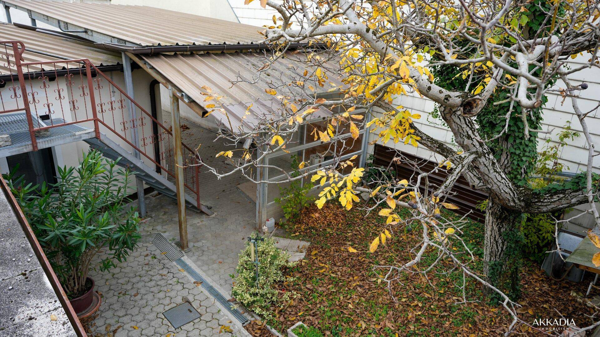 Blick von oben auf den Innenhof und den angrenzenden Gartenbereich mit Herbstlaub.