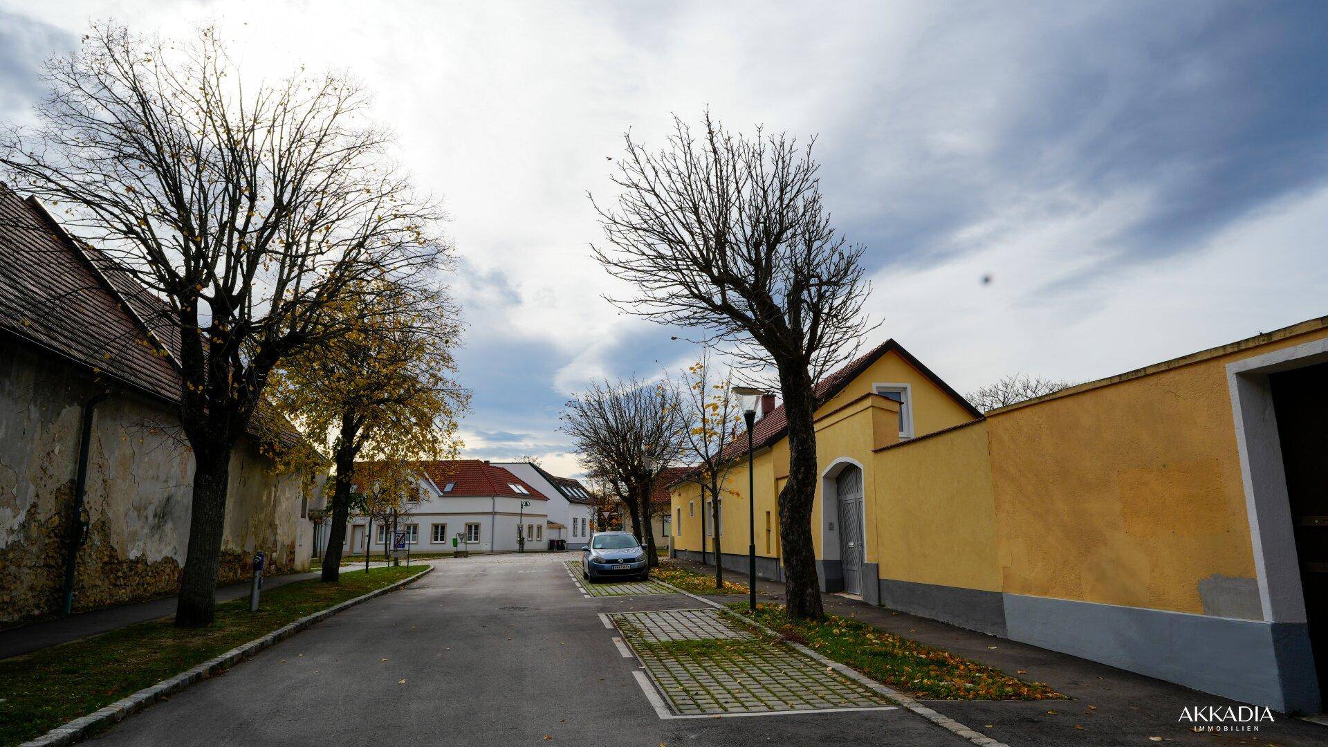 Ruhige Wohnstraße mit Bäumen und Häusern in der Nachbarschaft.