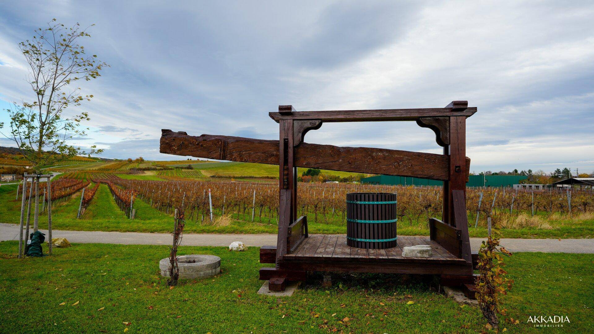 Historische Weinpresse in einer malerischen Weinberglandschaft.