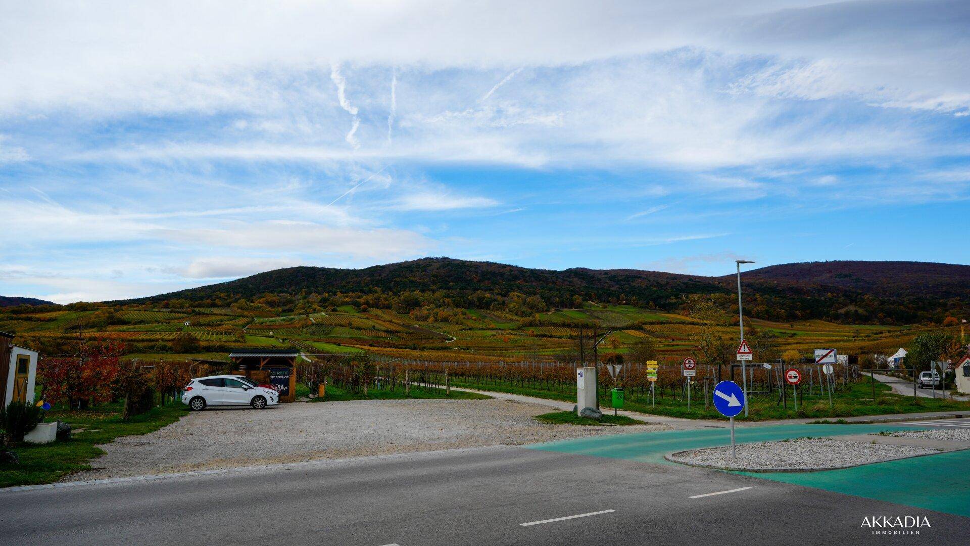 Panoramablick auf die Weinberge und die umliegende Hügellandschaft.