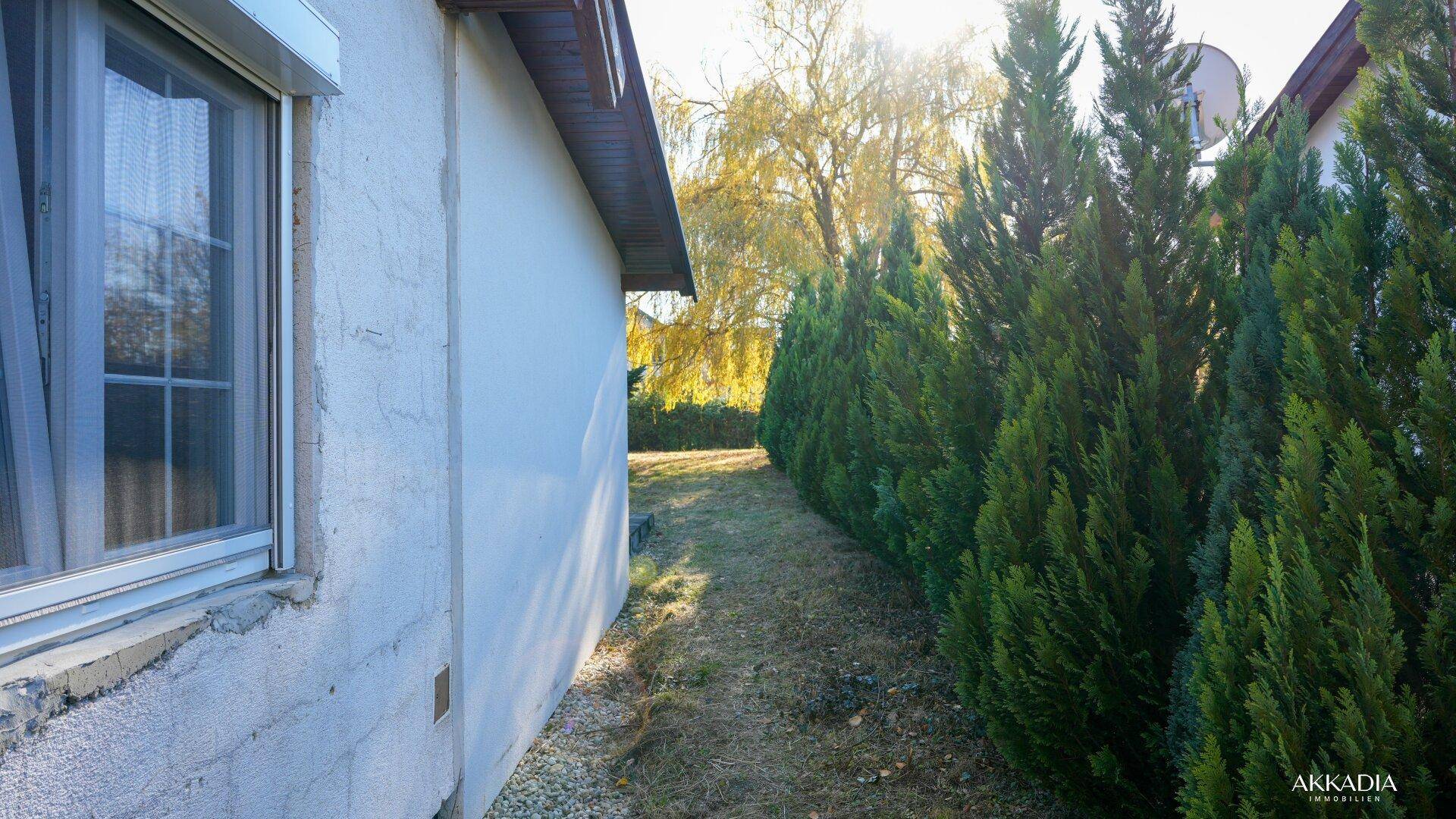 Seitenbereich des Hauses mit Hecke und schmalem Weg im Garten.
