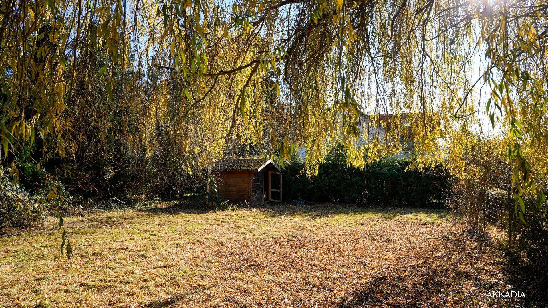 Sonniger Gartenbereich mit Rasenfläche, Bäumen und einem kleinen Gartenhaus.