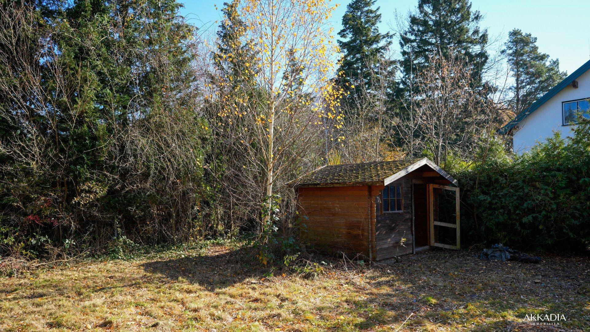 Gartenbereich mit Bäumen und einem kleinen Holzschuppen, umgeben von Natur.