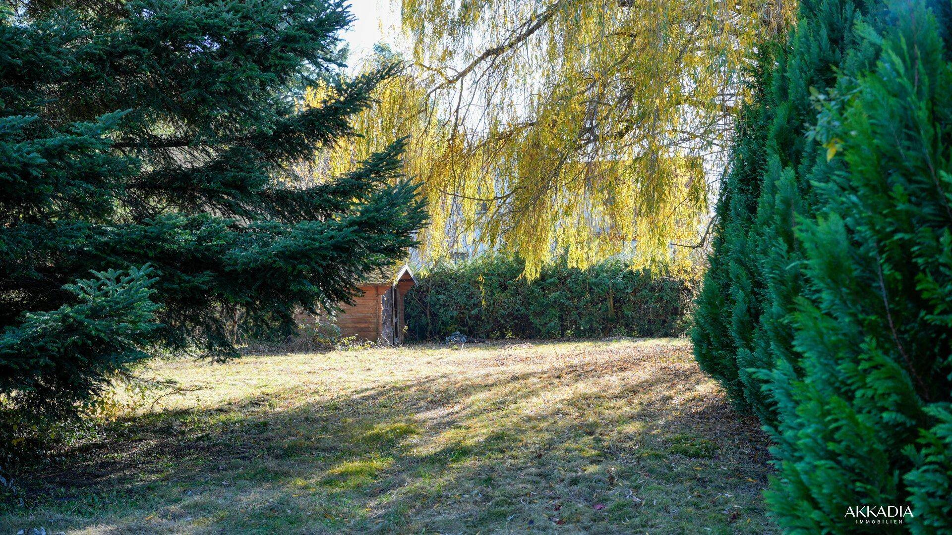 Gartenbereich mit Bäumen und Hecke, bietet Privatsphäre und Grünblick.