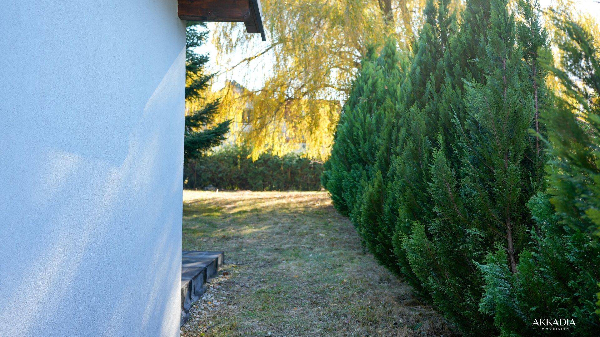 Seitenansicht des Hauses mit Hecke und Rasenfläche im Garten.