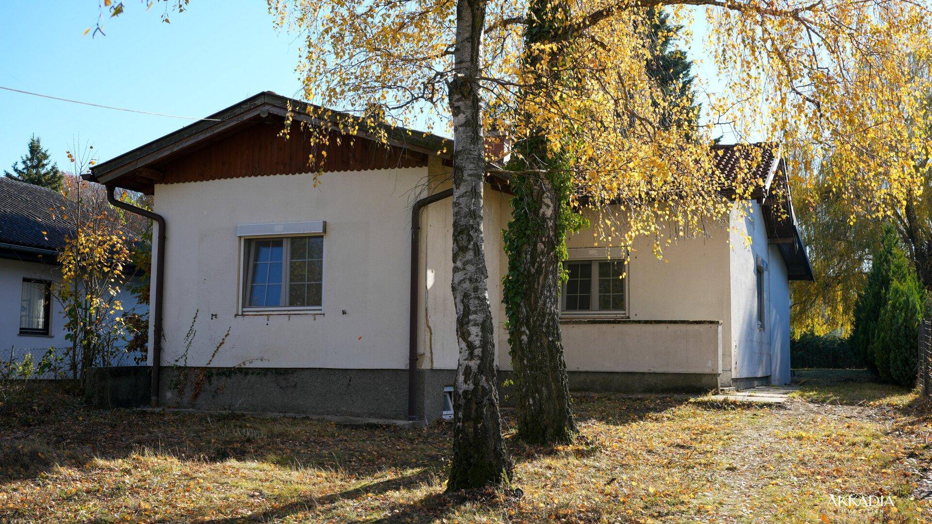 Hausfassade mit Fenstern und herbstlicher Vegetation im Vorgarten.