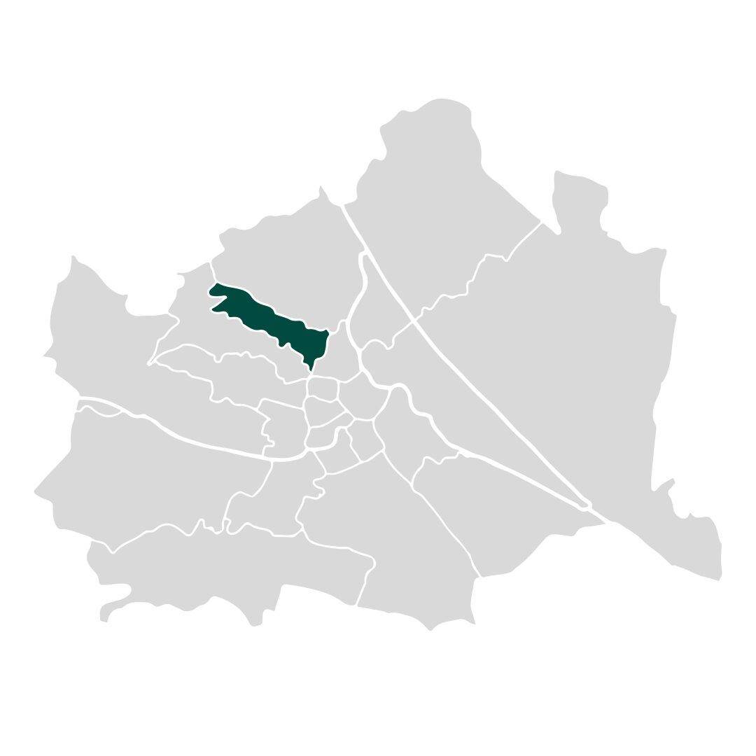 Slide 8