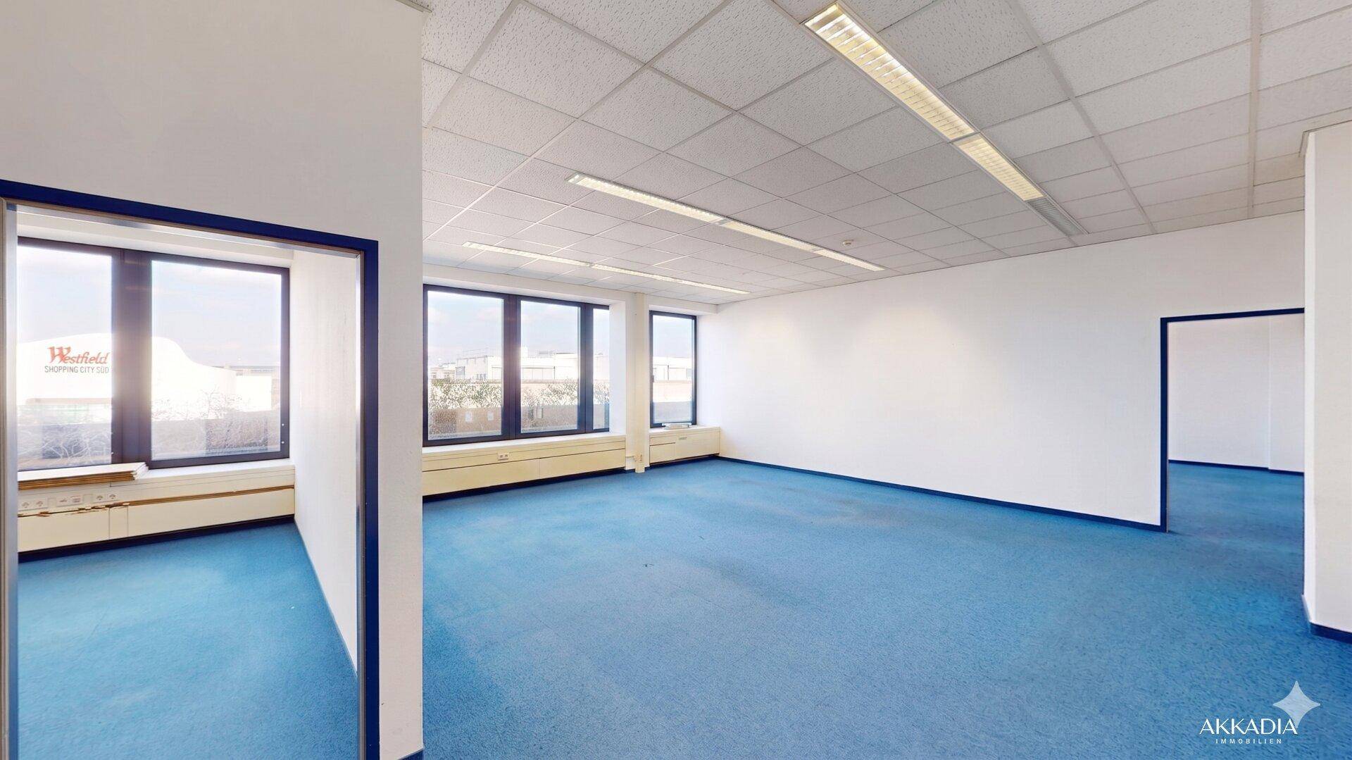 Geräumiges, leeres Büro mit blauem Teppichboden und großen Fenstern, die viel Licht hereinlassen.