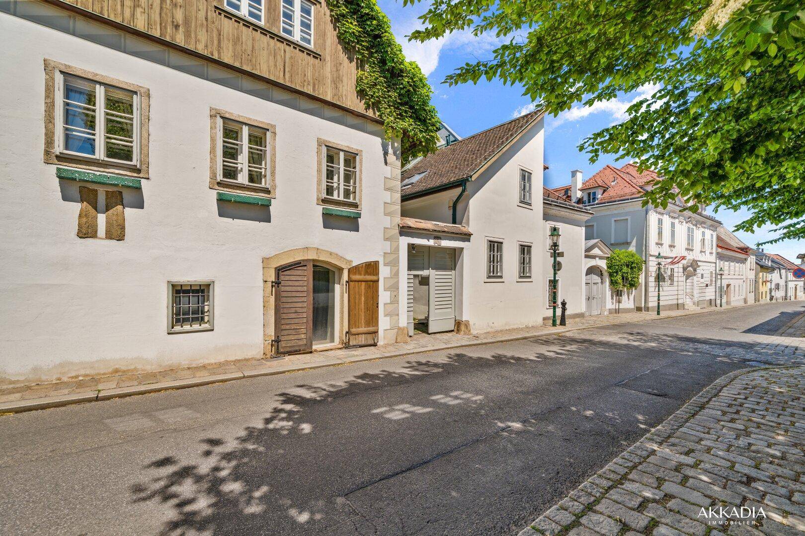 Malerische Gasse mit historischen Gebäuden, Kopfsteinpflaster und grünen Bäumen am Straßenrand.