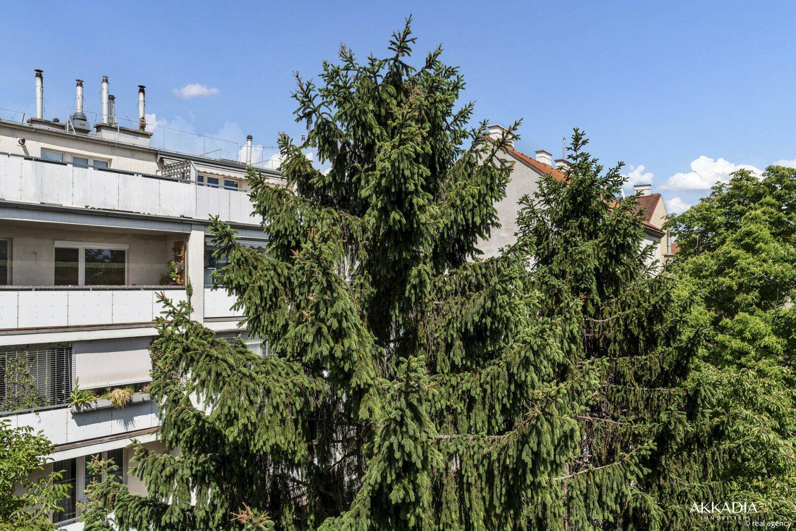 Großer Nadelbaum vor einer Wohnhausfassade mit Balkonen unter blauem Himmel.