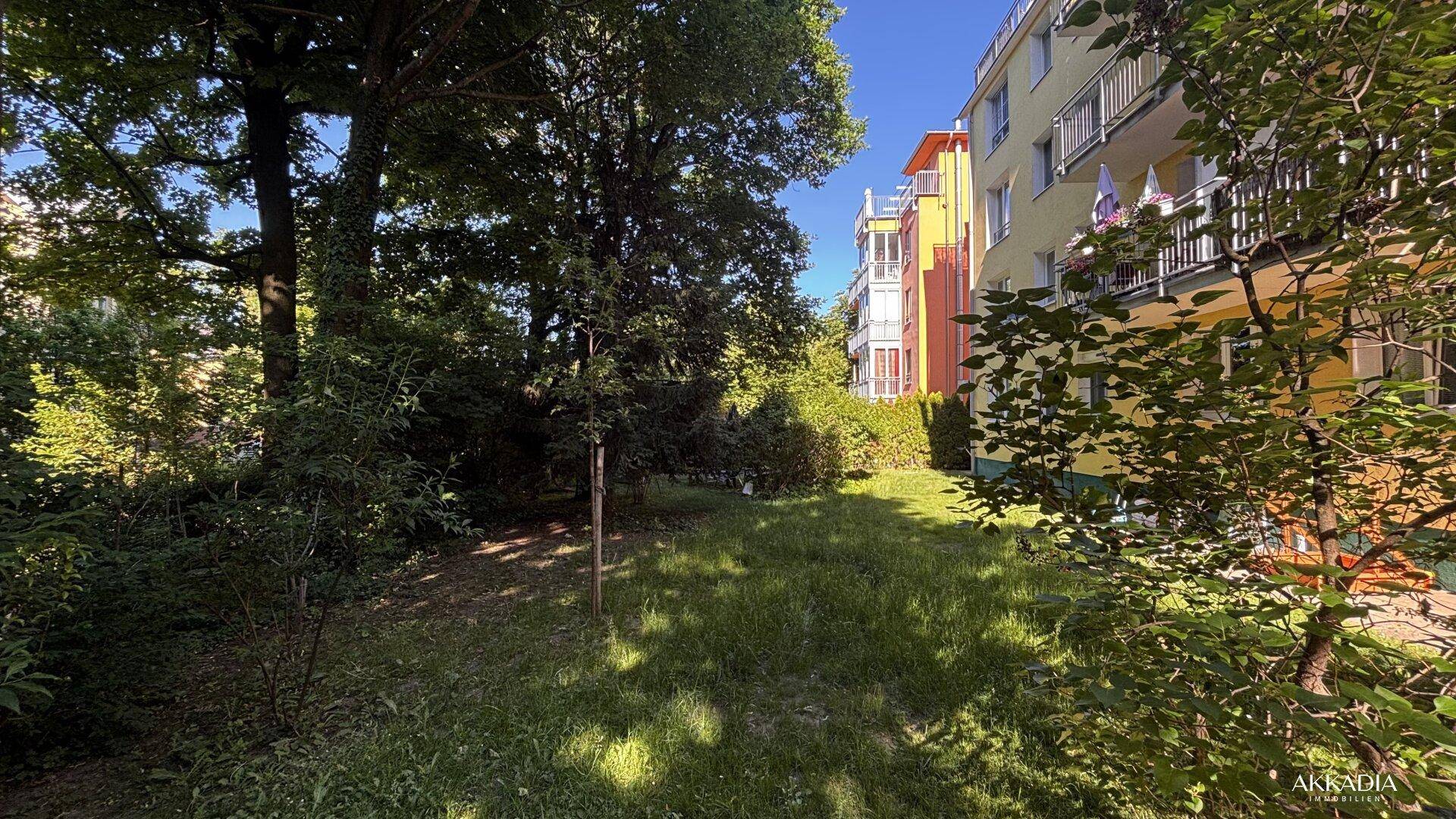 Grüne Gartenfläche mit altem Baumbestand und Blick auf die farbige Gebäudefassade im Hintergrund.
