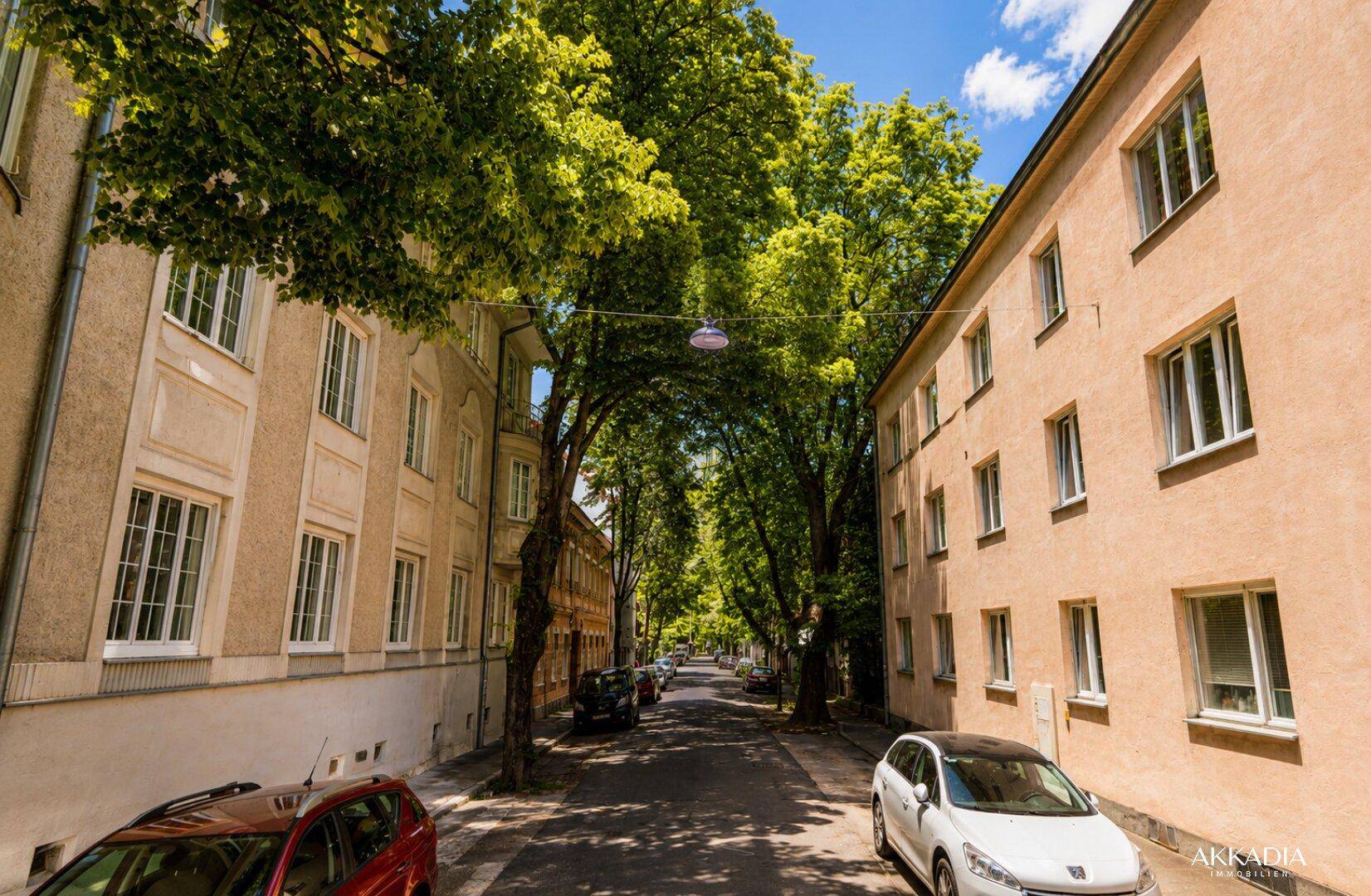 Ruhige Wohnstraße mit alten Bäumen und geparkten Autos, umgeben von traditionellen Gebäuden.