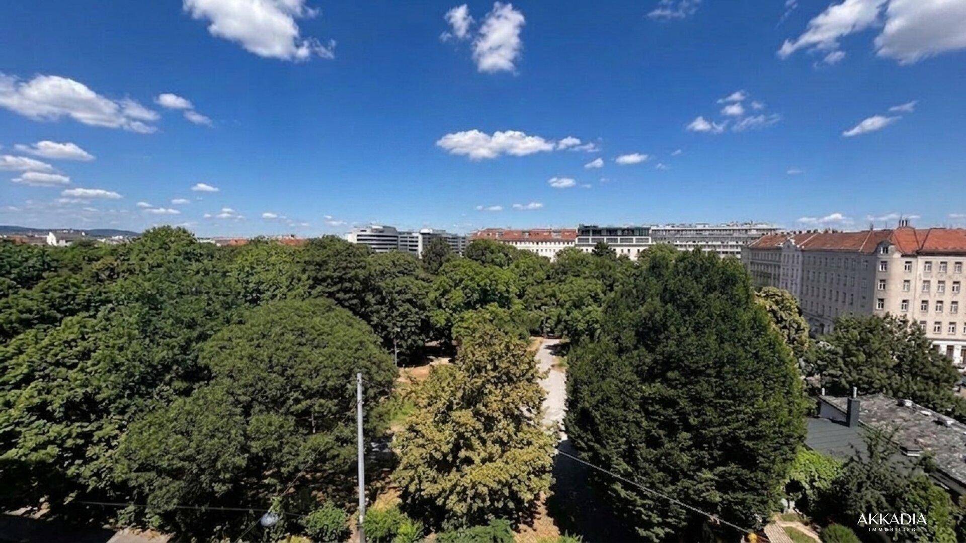 Weitläufiger Blick über eine grüne Parklandschaft mit Stadtgebäuden im Hintergrund.