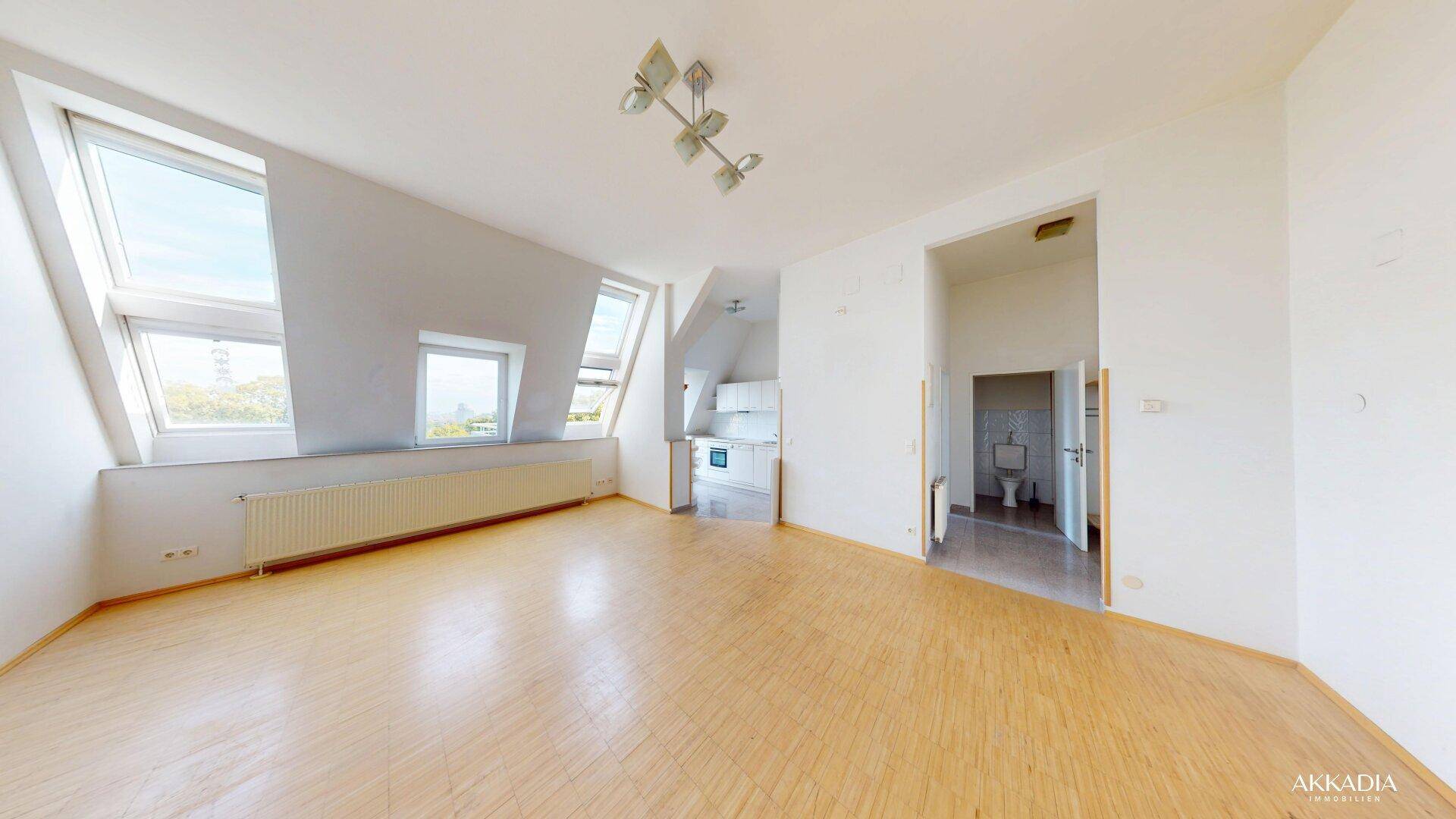 Geräumiger Wohnbereich mit Holzfußboden, Dachfenstern und Zugang zu Küche und WC.