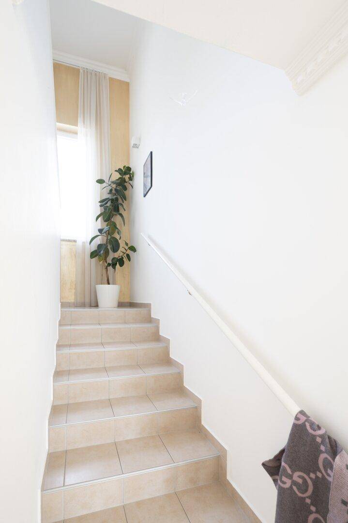 Geflieste Treppe mit weißem Geländer und einer Pflanze, die von Tageslicht beleuchtet wird.