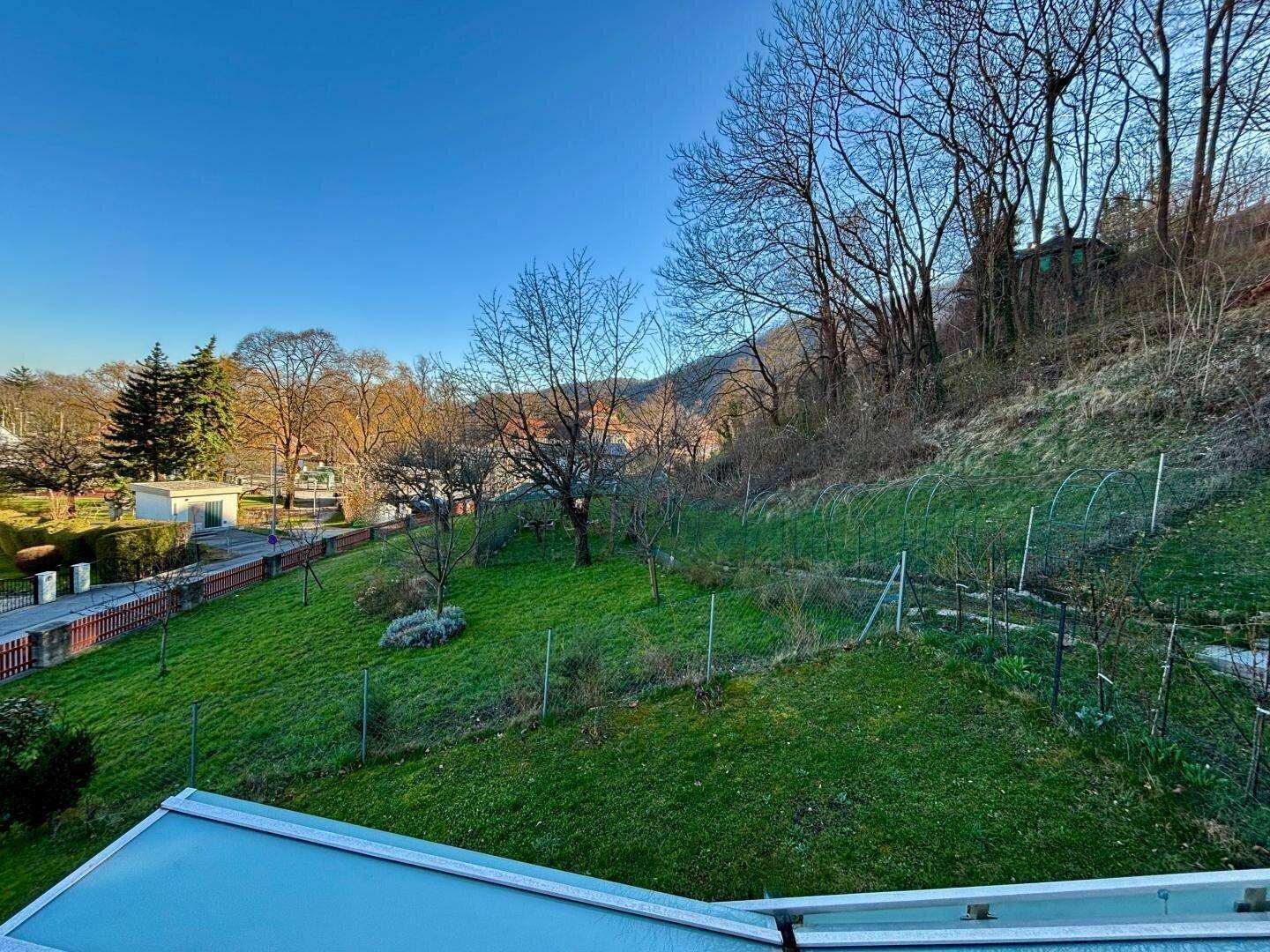 Weitläufiger grüner Gartenbereich mit Rasenfläche, Bäumen und einem bewaldeten Hang im Hintergrund.