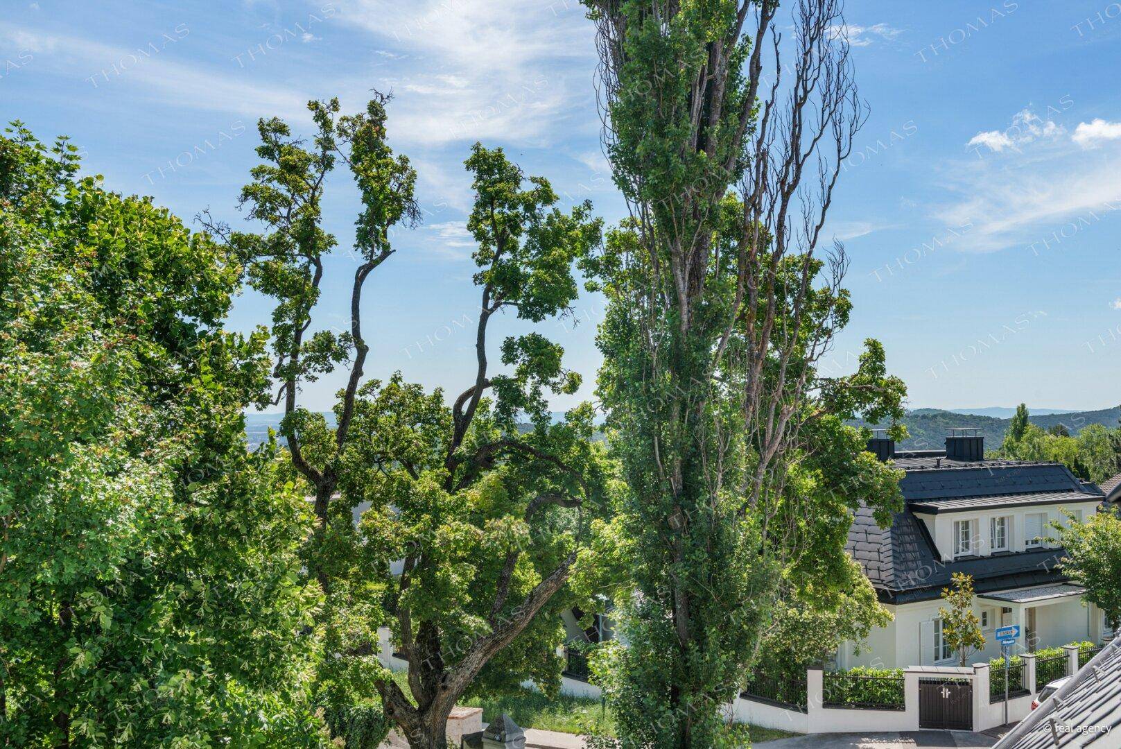 Hohe Bäume und eine weite Landschaft mit Häusern unter blauem Himmel.