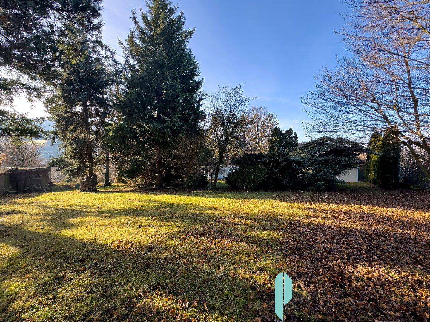 Weitläufiger Garten mit Rasenfläche, Bäumen und herbstlichem Laub.